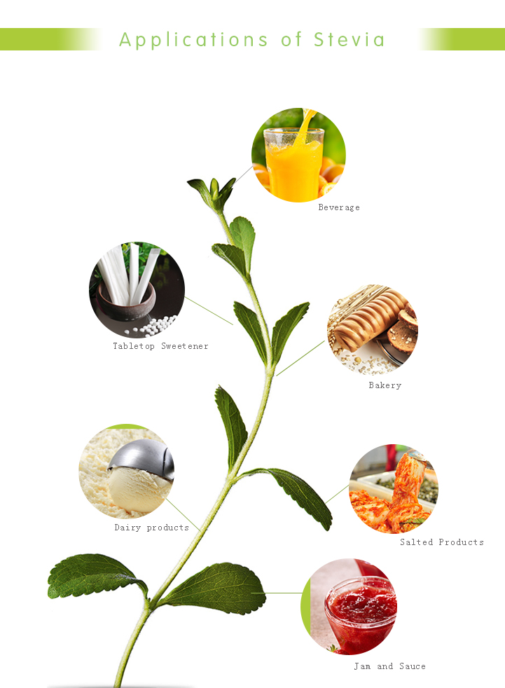 Stevia Applications Top Stevia Manufacturer, GL Stevia